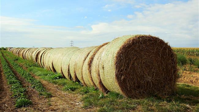 Τα προγράμματα που αναμένονται