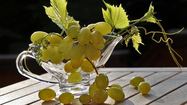 Προσωρινή ελευθέρωση του εμπορίου για επτά γεωργικά προϊόντα από τη Μολδαβία