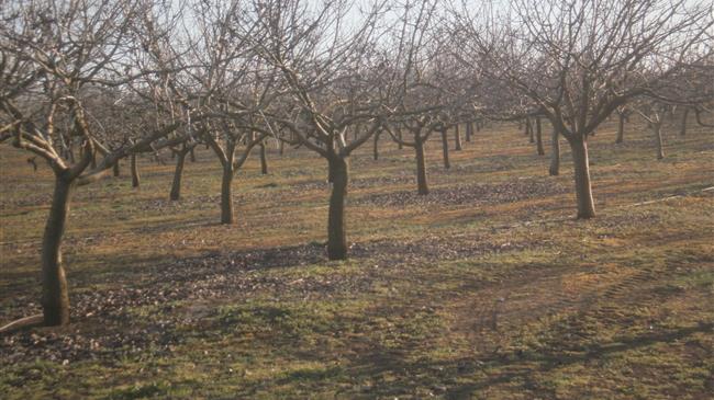 Φ. Αραμπατζή: Η Κυβέρνηση των φόρων καταστρέφει και τα επενδυτικά αγροτικά προγράμματα!