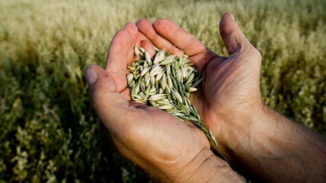 Έρευνα για τη διάρθρωση των γεωργικών εκμεταλλεύσεων του 2016