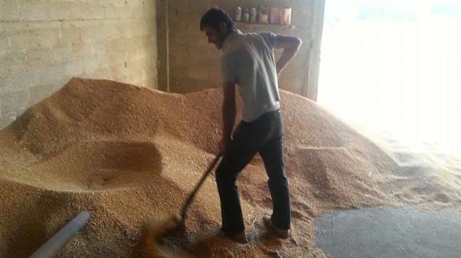 5η Επικαιροποίηση Πινάκων Αποτελεσμάτων Αξιολόγησης υπομέτρου 6.1 «Εγκατάσταση Νέων Γεωργών» 