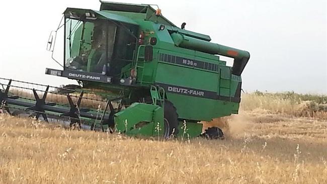 Άρχισε ο θερισμός και λόγω ανομβρίας η σοδειά είναι τραγική