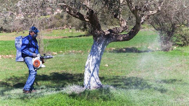 « Έναρξη δολωµατικών ψεκασµών δακοκτονίας στα νησιά Κάρπαθο και Κάσο » 