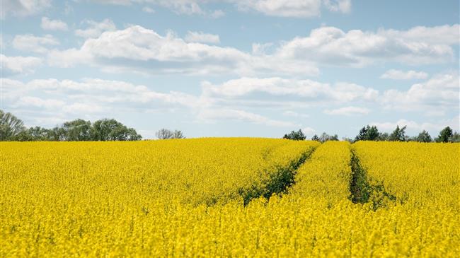 Διεθνής Οργάνωση Ενέργειας: Τα κράτη πρέπει να επενδύσουν 3 τρισ. δολάρια σε αειφόρο ενέργεια