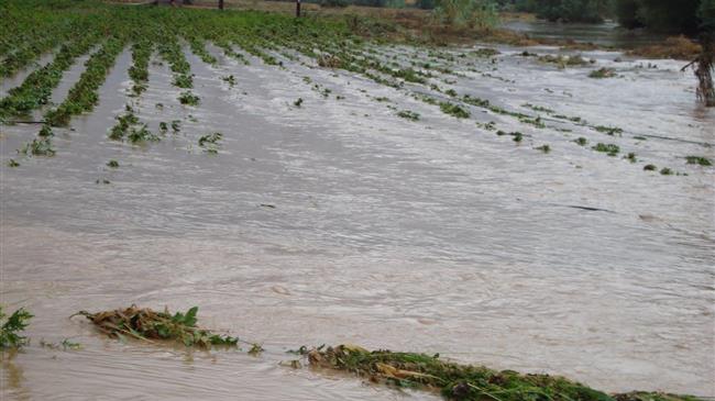Το επόμενο διάστημα αναμένεται από τον ΕΛΓΑ να ξεκινήσουν οι εκτιμήσεις των ζημιών 