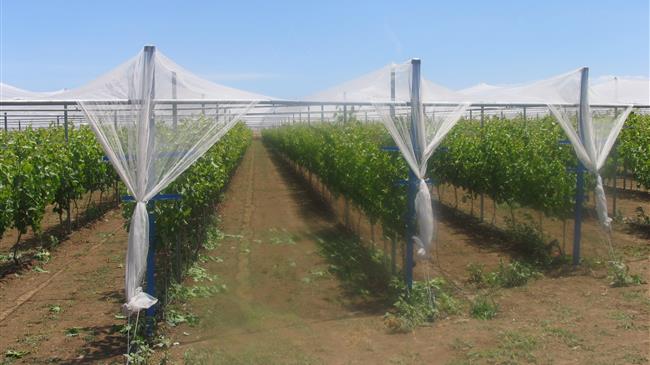 Εγκατάσταση δικτύων χαλαζικής προστασίας: 27 εκατομμύρια ευρώ