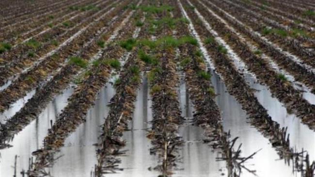 Ενώ εκκρεμεί 30% των περυσινών αποζημιώσεων, νέες ζημιές σε Κιλελέρ, Φάρσαλα, Αγιά, Τύρναβο