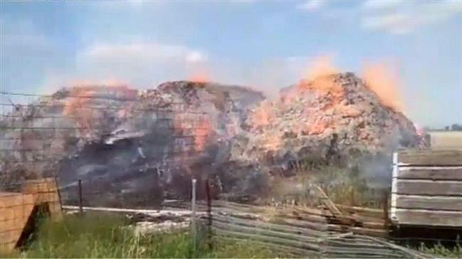 Κάηκαν 15.000 δέματα τριφυλλιού σε κτηνοτροφική μονάδα