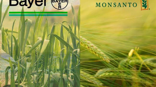 Η Bayer ολοκληρώνει  την εξαγορά της Monsanto την Πέμπτη