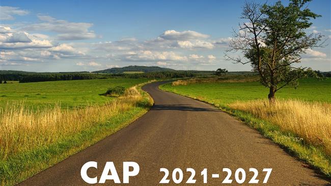 Η Κοινή Γεωργική Πολιτική μετά το 2020