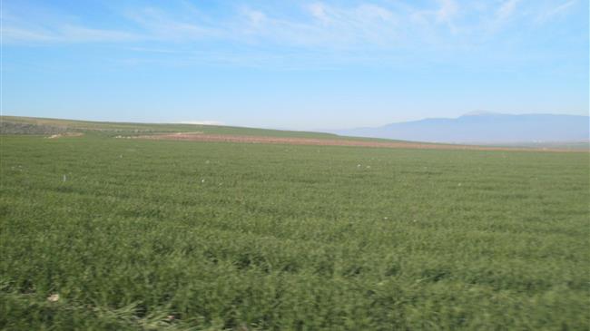 Επιστολή διαμαρτυρίας Διοικητικού Συμβουλίου Ένωσης Βιοκαλλιεργητών Π.Ε. Λακωνίας