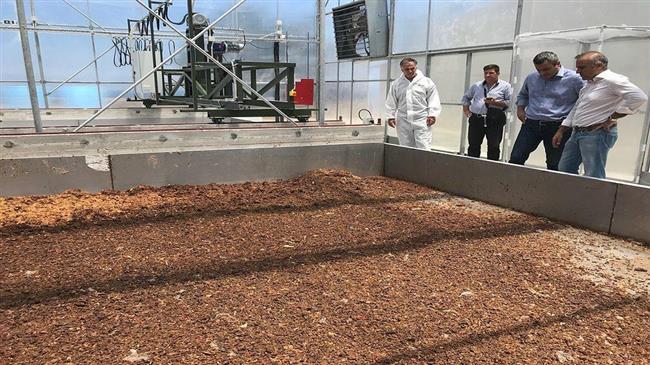 Αυτές είναι οι δέκα κορυφαίες χώρες παραγωγής ζωοτροφών