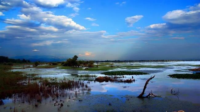 Παραλίμνιος καθαρισμός της Κερκίνης