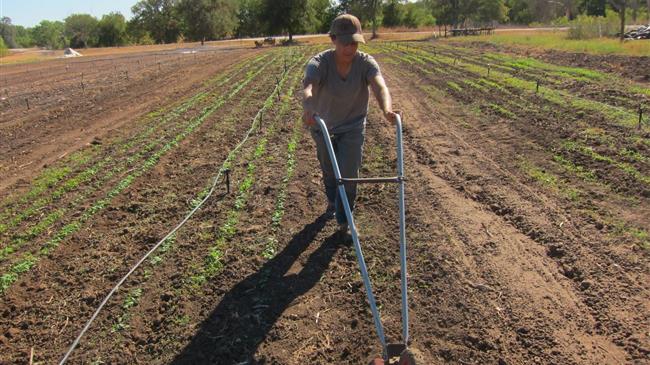 Κατά προτεραιότητα οι άνεργοι θα προσλαμβάνονται ως εκπαιδευτές στα προγράμματα κατάρτισης των αγροτών