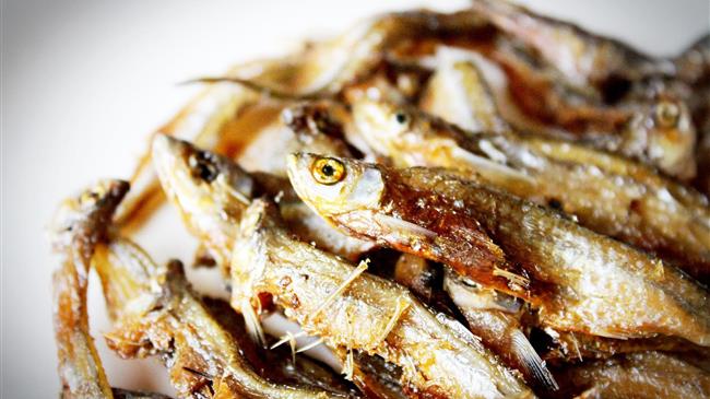 Η κατανάλωση πολλών ψαριών μειώνει τον κίνδυνο πρόωρου τοκετού