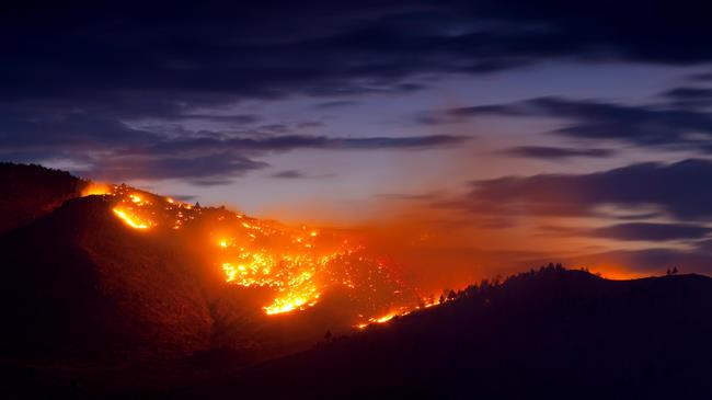 Το act4Greece και η Εθνική Τράπεζα στέκονται στο πλευρό των πληγέντων από τις πυρκαγιές στην Αττική 
