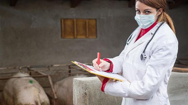 Π.Ε.Κ.Δ.Υ.: Ιδιωτικοποίηση των Επισήμων Κτηνιατρικών Ελέγχων και γενική απαξίωση των Κτηνιατρικών Υπηρεσιών της Χώρας