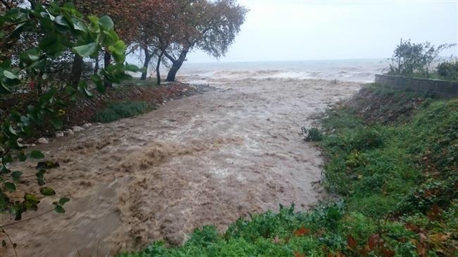 Στην Εισαγγελία του Αρείου Πάγου για τα ρέματα προσφεύγει η ΕΝΠΕ