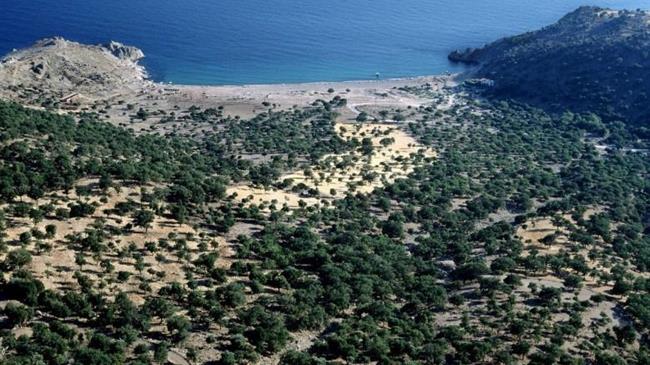  Σ. Φάμελλος: Η Σαμοθράκη μπορεί να αποτελέσει πρότυπο αειφόρου ανάπτυξης​