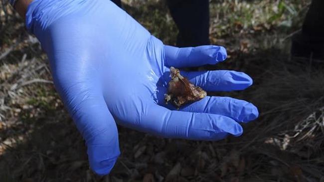 Ολοκληρωμένη Στρατηγική Αντιμετώπισης της Παράνομης Χρήσης Δηλητηριασμένων Δολωμάτων