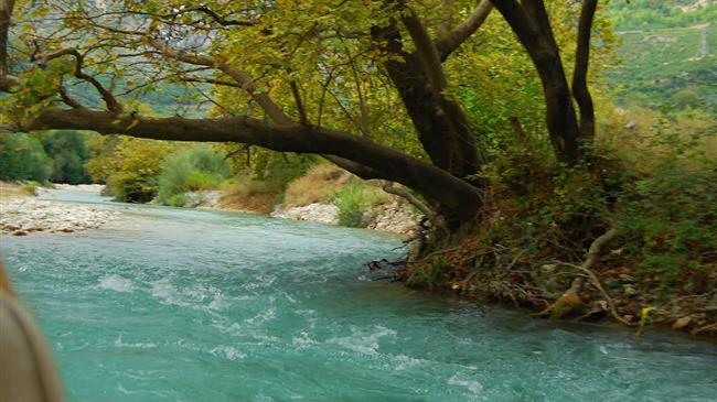 Βρέθηκαν ζωικά υπολείμματα στον Αχέροντα