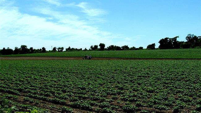 ΕΛΣΤΑΤ: Αυξημένο κατά 28% το κόστος παραγωγής