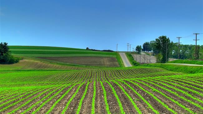 ΟΠΕΚΕΠΕ: Ενημέρωση και διευκρινήσεις για τις ασυμβατότητες στα οικολογικά προγράμματα της ΚΑΠ