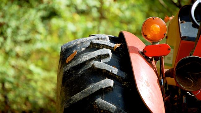 Ελβετία: Υπάρχει άφθονη εργασία στα χωράφια, αλλά λίγα εργατικά χέρια