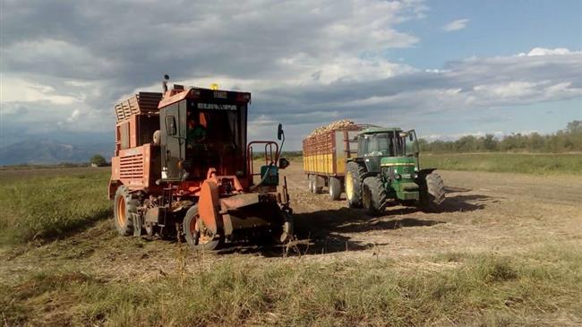 Η κυβέρνηση συνεχίζει το αποτυχημένο έργο της στον στρατηγικό τομέα της ζάχαρης
