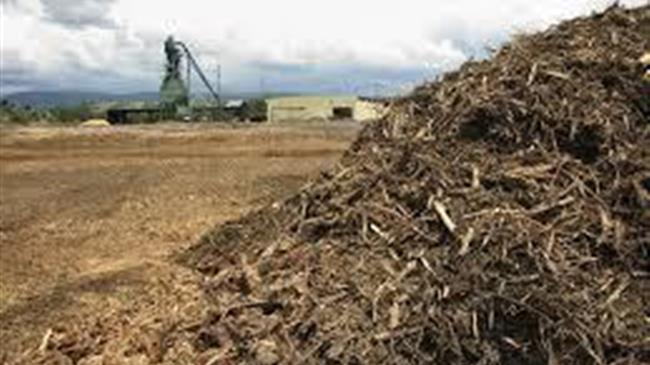 Οι Ολλανδοί αποφάσισαν: Η καύση βιομάζας δεν είναι βιώσιμη