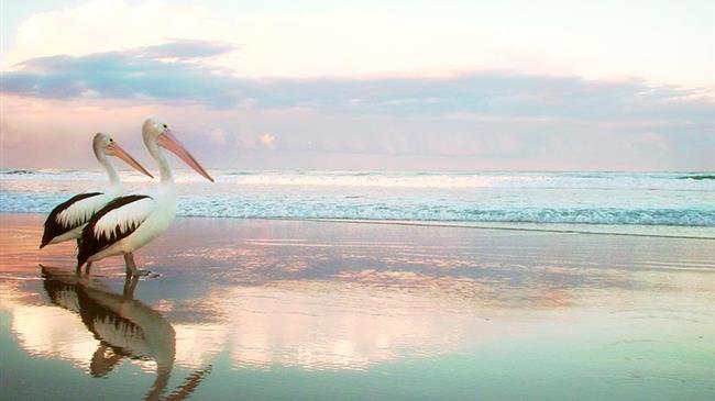 Επενδύσεις ύψους 250 εκατ. ευρώ στο περιβάλλον, τη φύση και τη δράση για το κλίμα