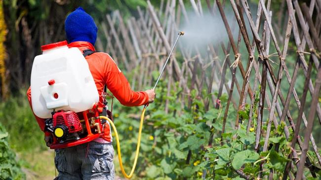  2η τροποποίηση του μέτρου «Εναλλακτική καταπολέμηση ζιζανίων στους ορυζώνες» 