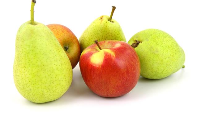 Εξαγωγές Νωπών Οπωροκηπευτικών