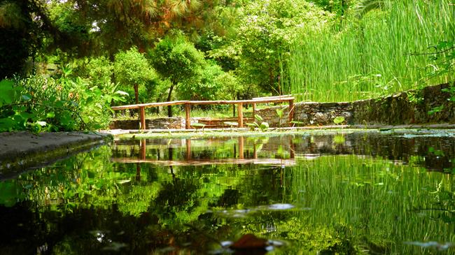 Βοτανικός κήπος στην Πιαλεία του Δήμου Πύλης