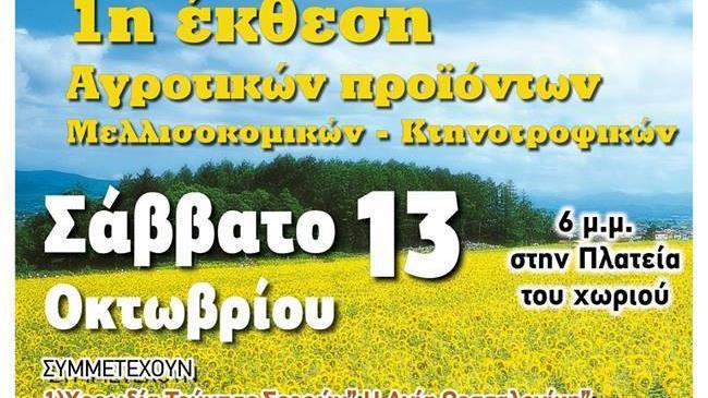 Γιορτή Ρυζιού στον Προβατά