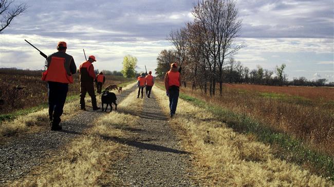 Επιτρέπεται το κυνήγι στον υγρότοπο της Σαγιάδας