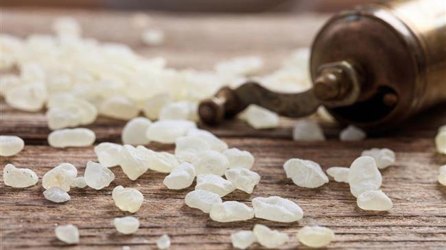 Ένωση Μαστιχοπαραγωγών Χίου: Νέες επενδύσεις 3,5 εκατ.