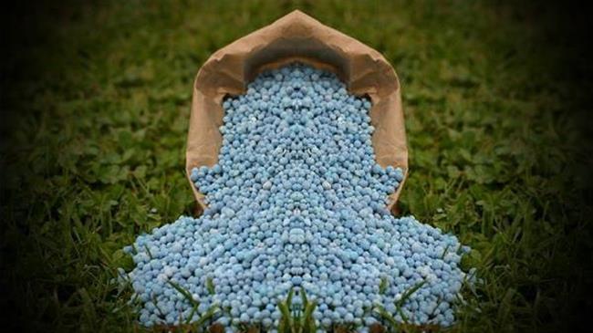 Οι ΗΠΑ θα βοηθήσουν τη Ρωσία να αποκαταστήσει την πρόσβαση στις παγκόσμιες αγορές σιτηρών και λιπασμάτων