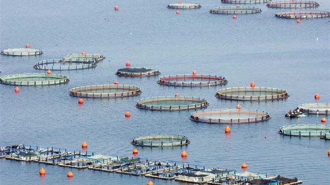 Επενδύσεις υδατοκαλλιεργειών 