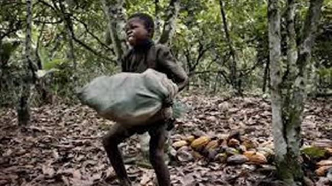 Μείωση των διεθνών τιμών για να μειωθεί το φορτίο των εισαγωγών τροφίμων στις φτωχότερες χώρες