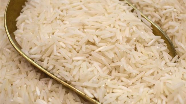 Ρϋζι: Πώς ένα ερευνητικό πρόγραμμα γονιδιακής επεξεργασίας συμβάλλει στην αύξηση της ανοχής του στην ξηρασία