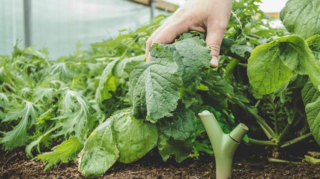 Γίνονται δράσεις για την Παγκόσμια Ημέρα Εδάφους