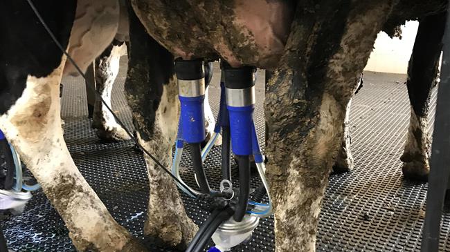 Συνάντηση αγελαδοτρόφων ΕΦΧΕ με την Τελιγιορίδου