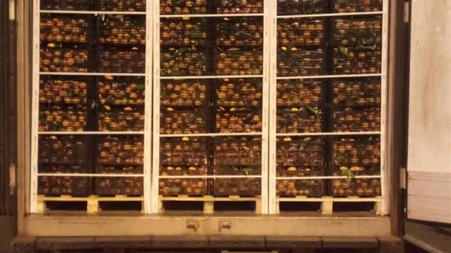 Έλεγχοι σε φορτία οπωροκηπευτικών  στους οδικούς άξονες της Ηπείρου