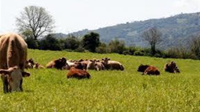 Πληρωμές στους δικαιούχους βιολογικής κτηνοτροφίας της Αιτωλοακαρνανίας