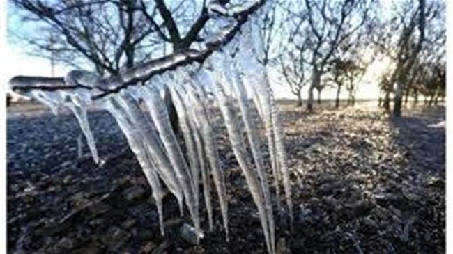  Β. Κεγκέρογλου: για ζημιές αγροτών και κτηνοτρόφων από τον παγετό