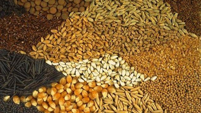 Ενημερώθηκαν για την ελληνική σποροπαραγωγή