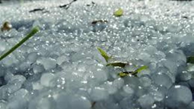 Ζημιές από χαλαζοπτώσεις στην Ηλεία