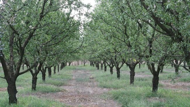 Δεν έχουν τέλος οι παλινωδίες του ΥπΑΑΤ προς τους Έλληνες βιοκαλλιεργητές και την Ελληνική Βιολογική Γεωργία