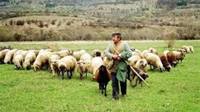  Κατανομή Βοσκοτόπων 